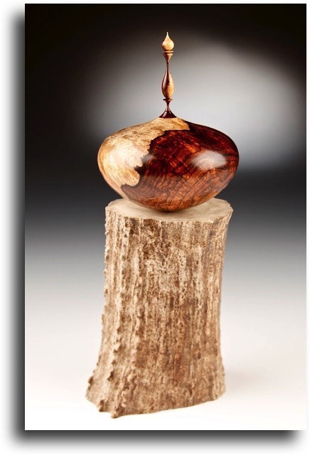 Cocobolo Burl