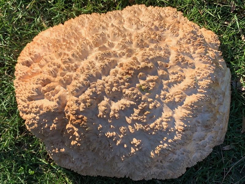 Stacks Image 2304