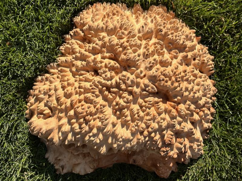 Stacks Image 13770