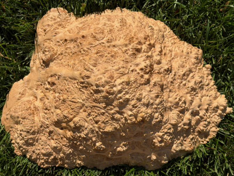 Stacks Image 18373