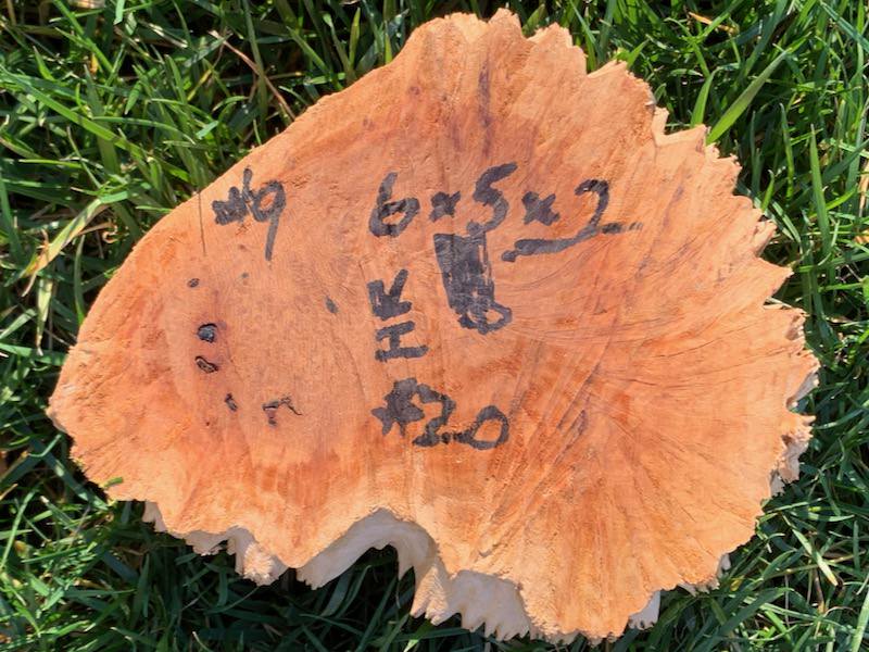 Stacks Image 12374