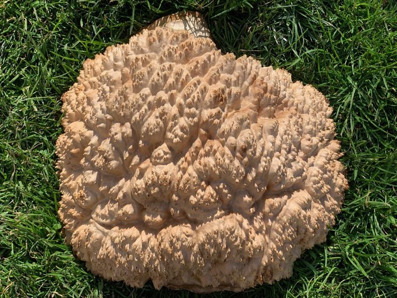 Stacks Image 1248