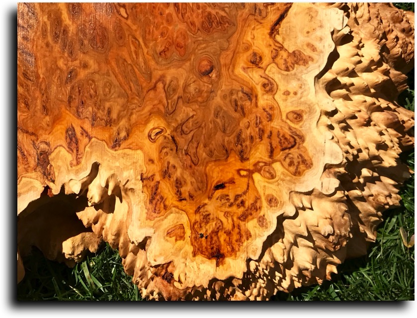 AustralianBurls.com - Burl Caps (Yellow Box Burl) © 2018 Jim Syvertsen