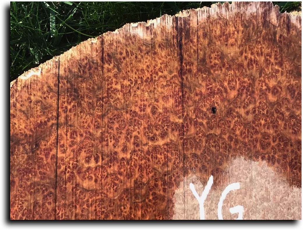 Stacks Image 8985
