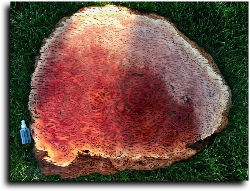 AustralianBurls.com - Burl Slabs (Large) © 2018 Jim Syvertsen