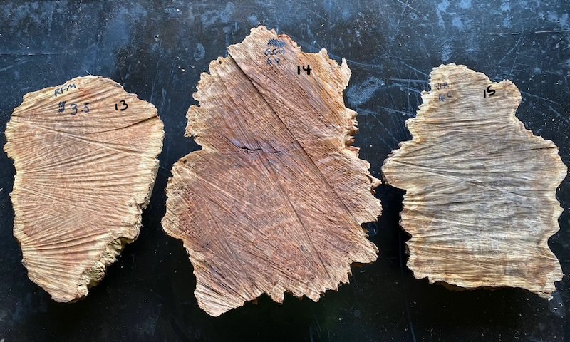 Stacks Image 27027
