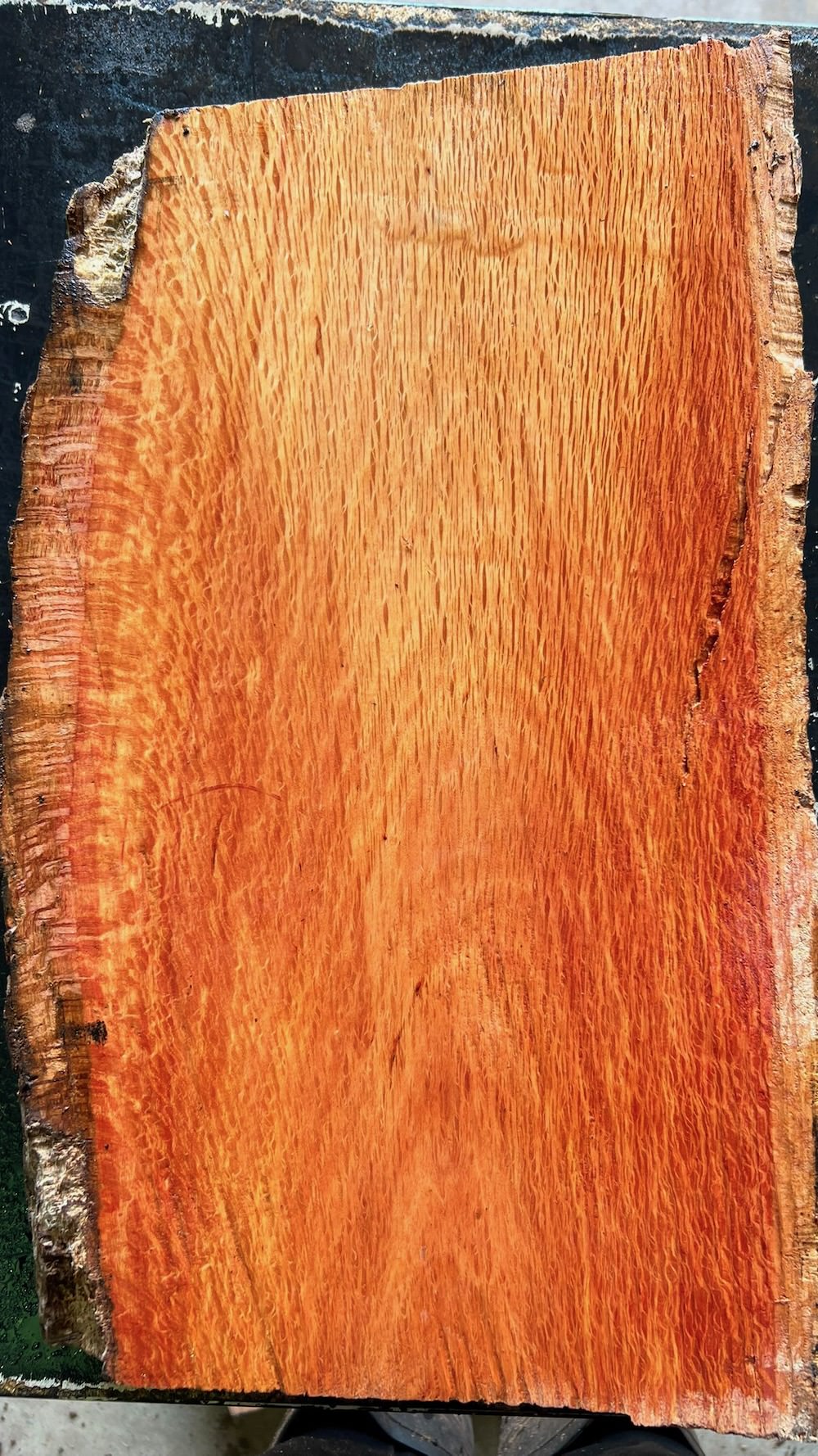 Stacks Image 33851
