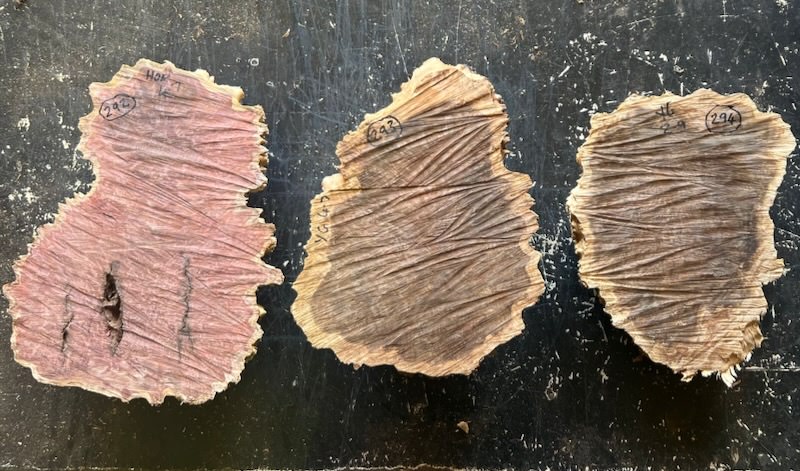 Stacks Image 30832