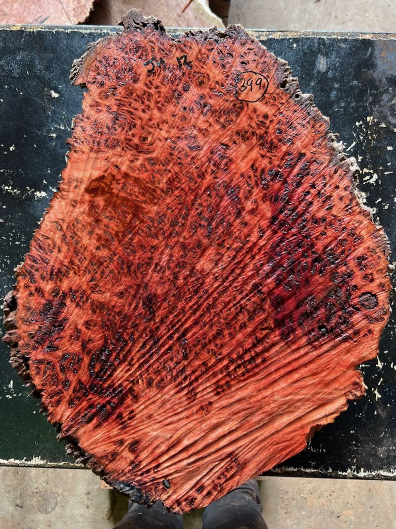 Stacks Image 34181