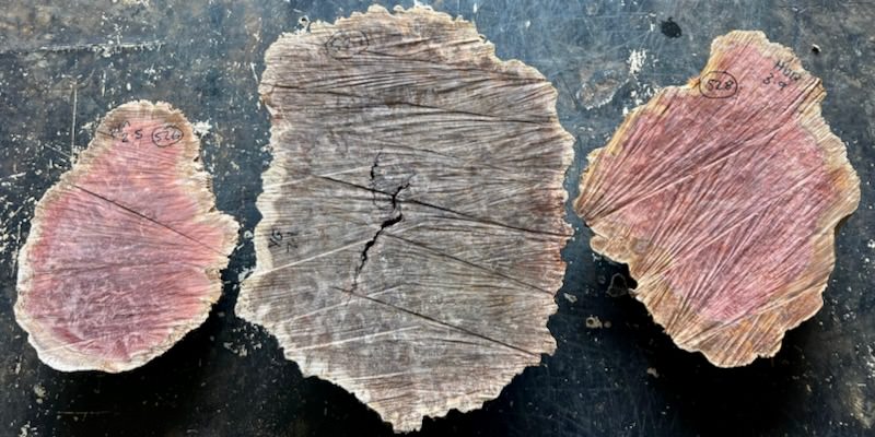 Stacks Image 35434