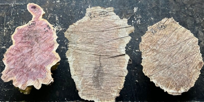 Stacks Image 34681