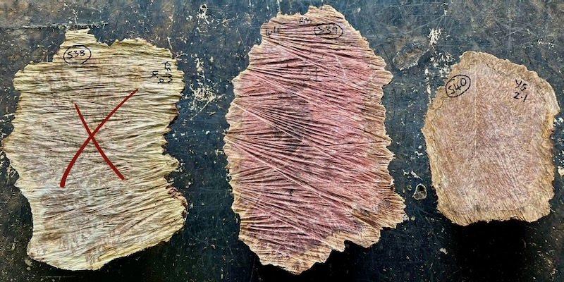 Stacks Image 36134