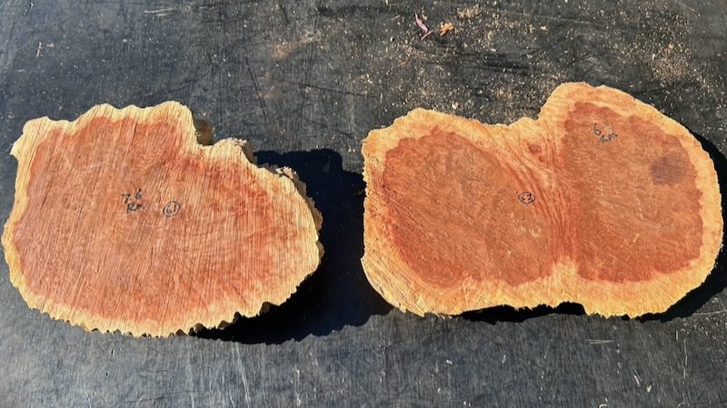 Stacks Image 41170