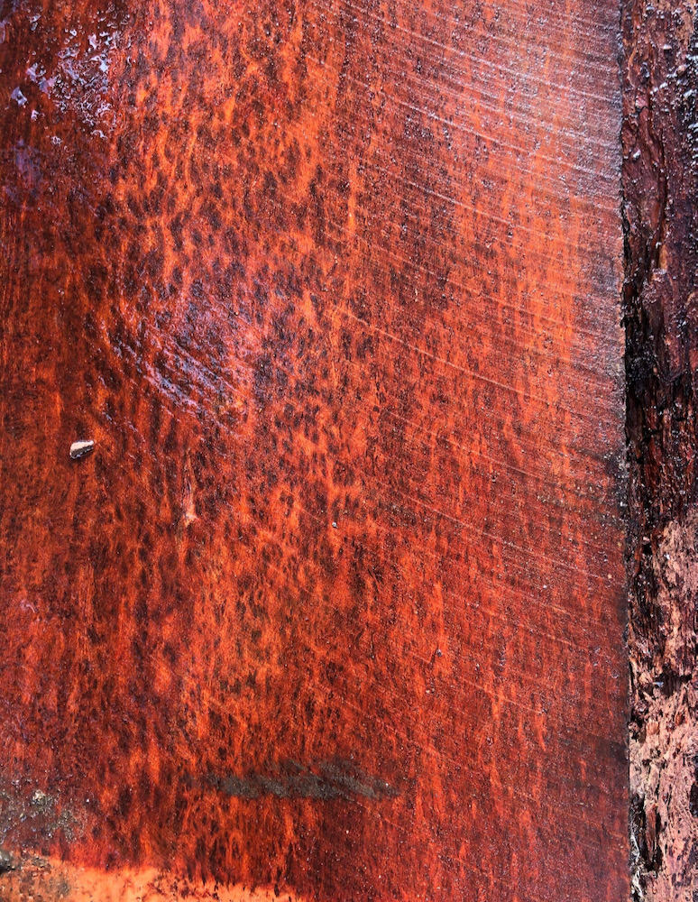 Stacks Image 23455