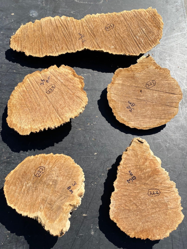 Stacks Image 30565