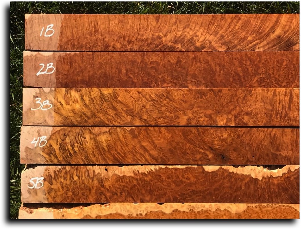 Stacks Image 11384