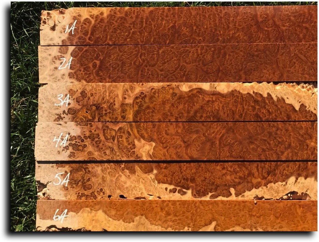 Stacks Image 12985