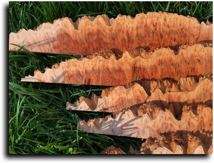 Stacks Image 8513