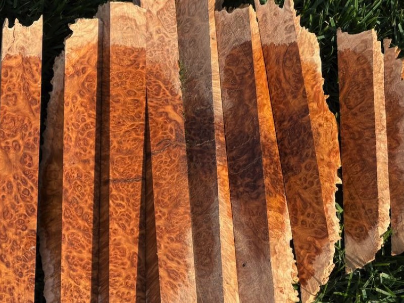Stacks Image 9685