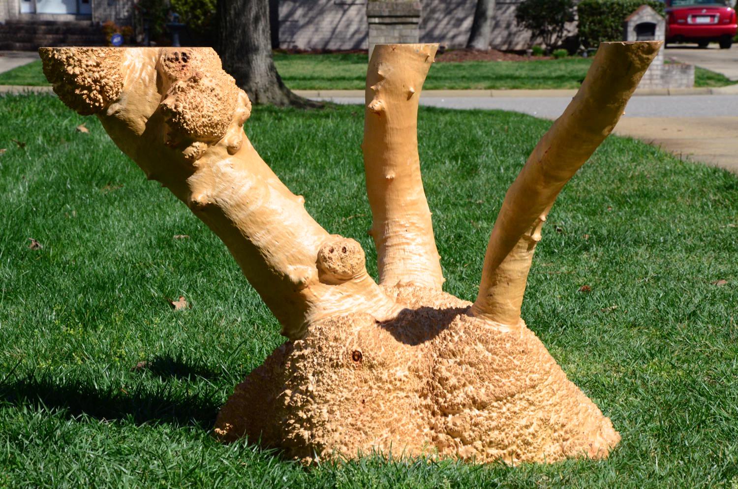 AustralianBurls.com Table Bases - Debarking 