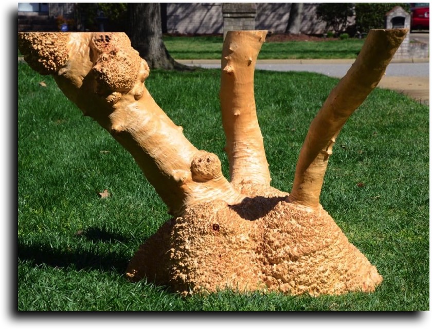 AustralianBurls.com Products - Table Bases © 2018 Jim Syvertsen